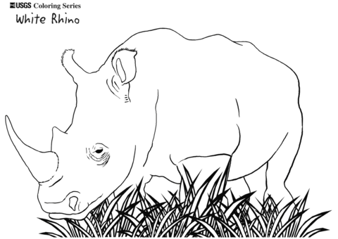 White Rhino Coloring Page